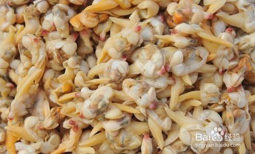 海边挖蚶子有什么技巧