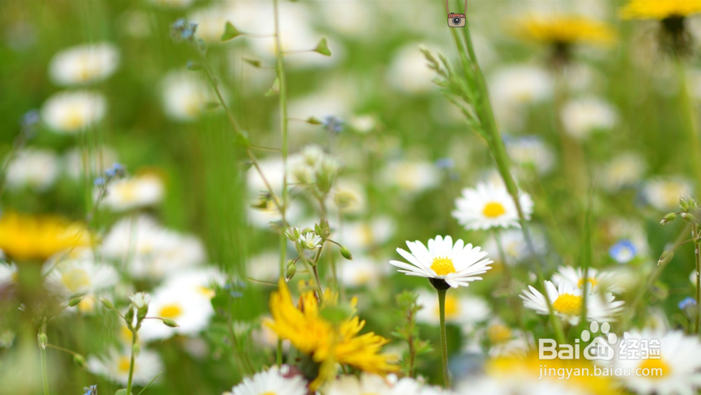 怎么把电脑桌面设置成自动变化的动态壁纸