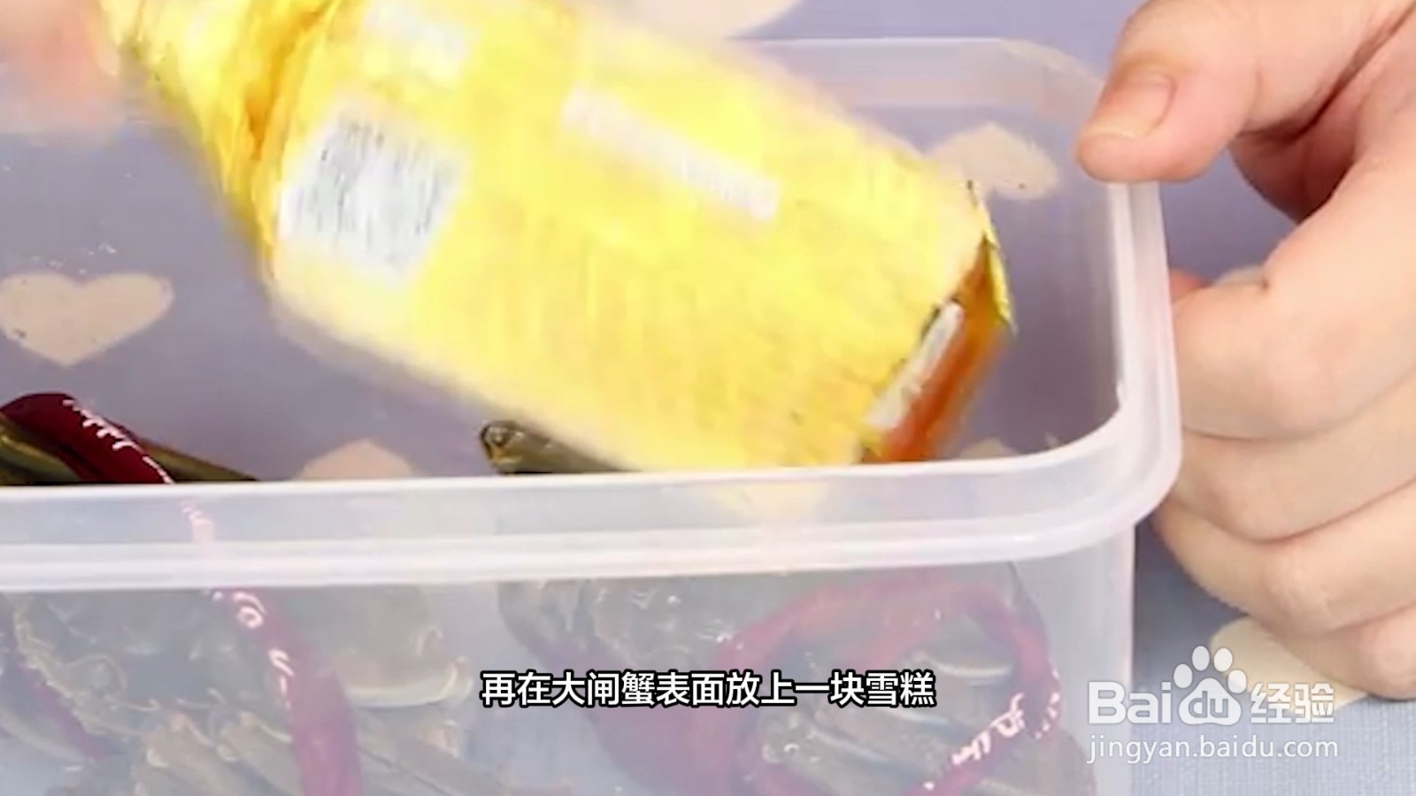 大闸蟹如何保存不会死