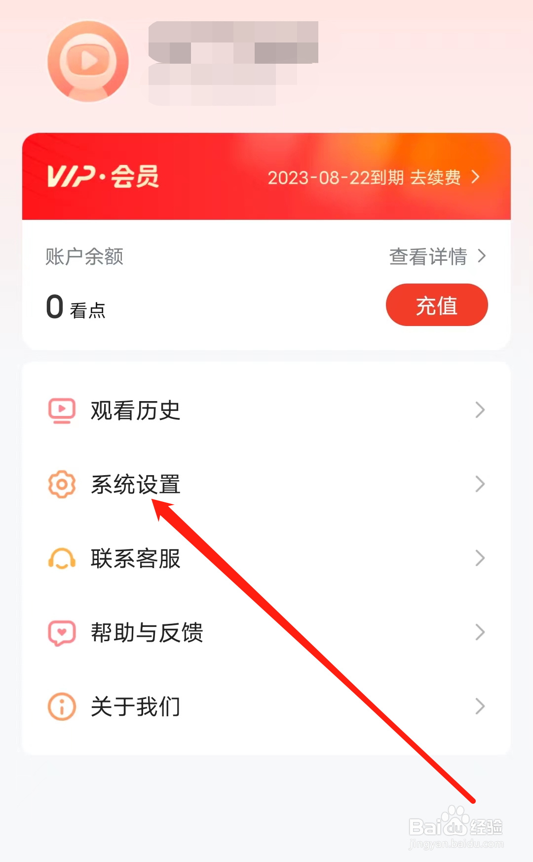 河马剧场如何查看系统设置