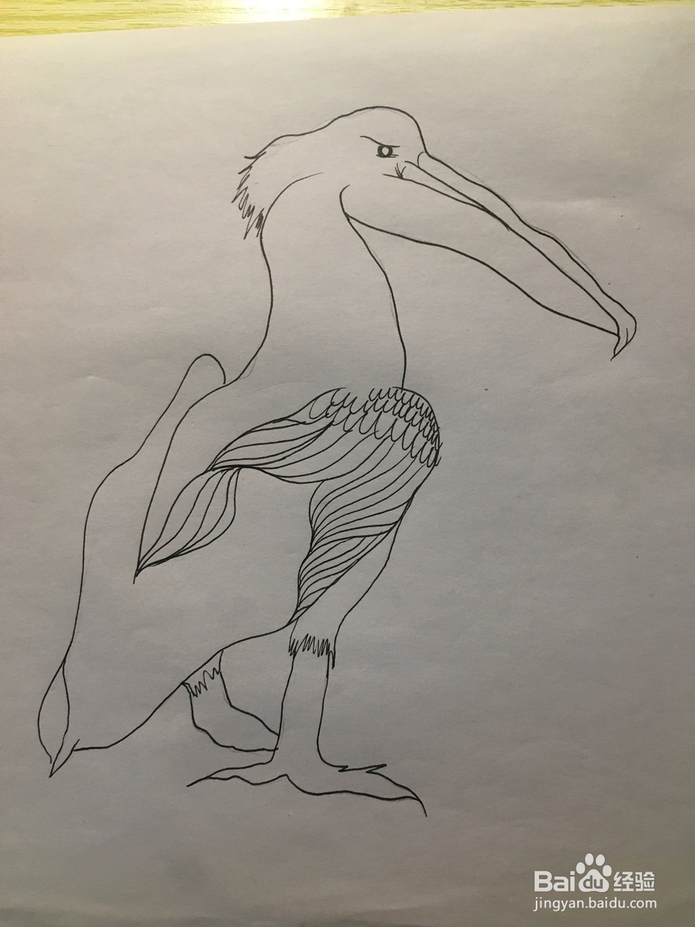 画一只长嘴巴的鸟儿 简笔画之鸟儿 儿童画 线描