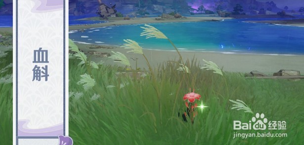 原神稻妻特色动物有哪些