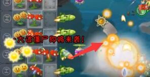黎明之城黎明之城怎么解决