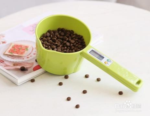 怎么辨别猫粮变质了