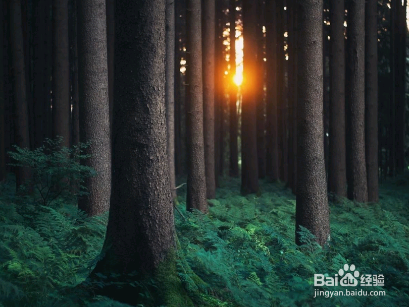 想要在职场中立足,心动不如争气,拿得起放得下