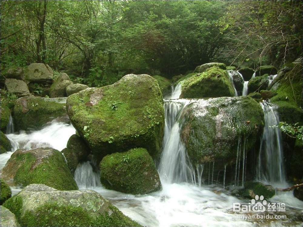 暑假旅游需要警惕哪些消费陷阱