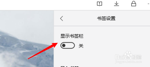 点击打开显示书签栏的开关.