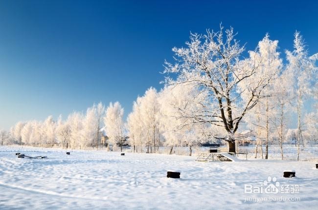 堆呀堆呀堆雪人——堆雪人必备技巧