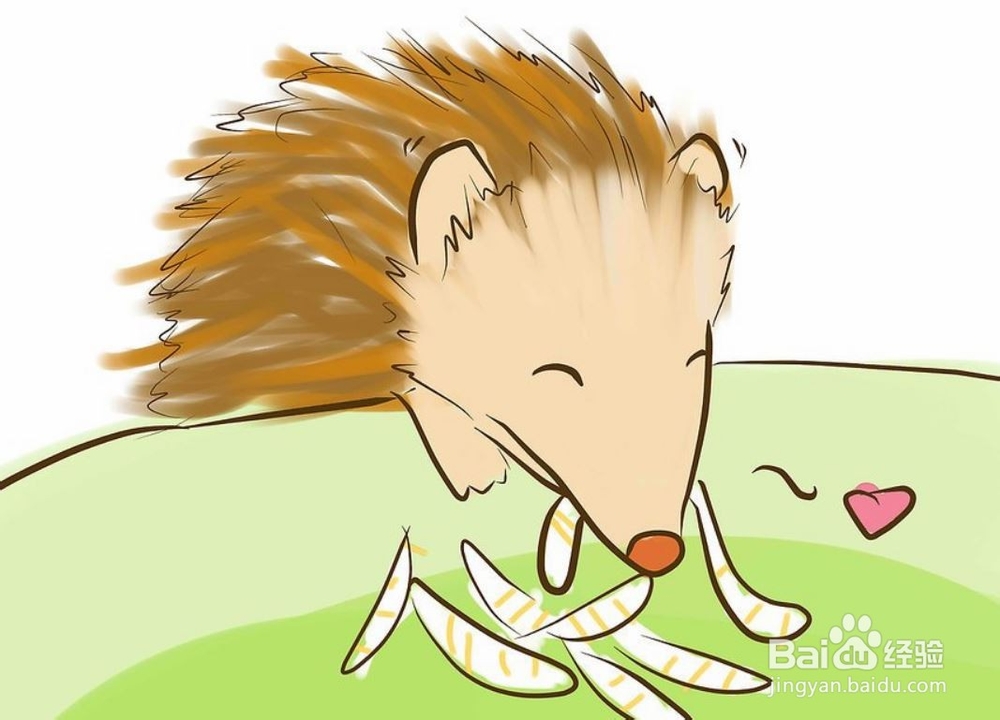 如何照顾一只刺猬