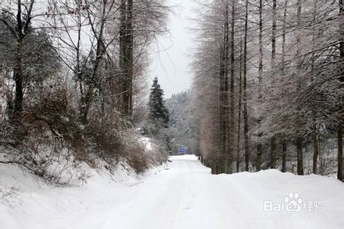 利川红椿旅游攻略
