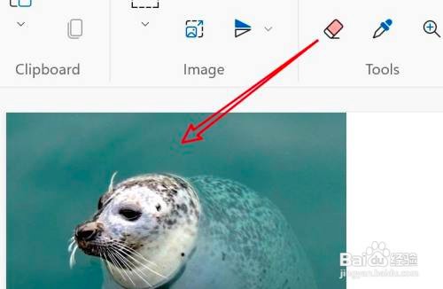 win11画图如何进行涂鸦