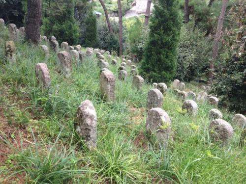 嘉斯荣宠什么意思