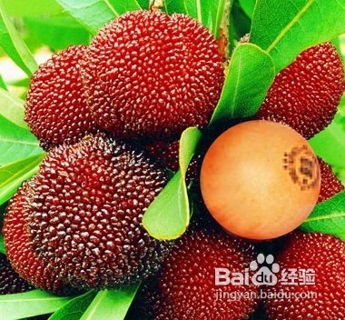 经常喝酒的人吃什么好