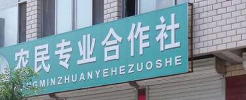 如何准备和应对第一书记访谈？问哪些问题？