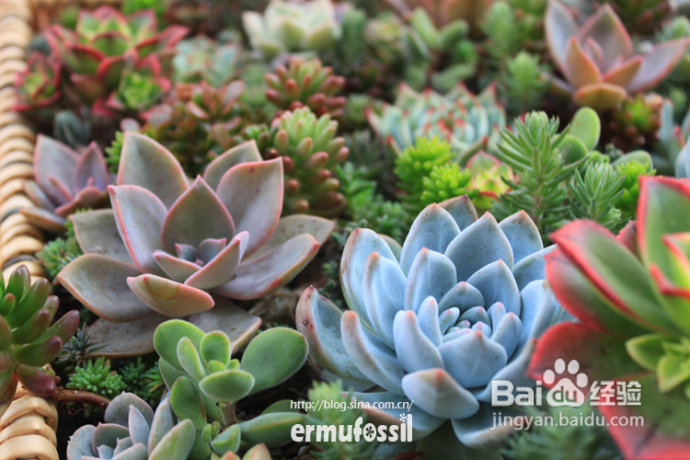 2012年6月23日 记录