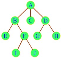 如何制定网络技术基础学习的详细计划