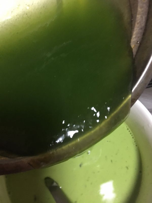 香兰叶马蹄千层糕