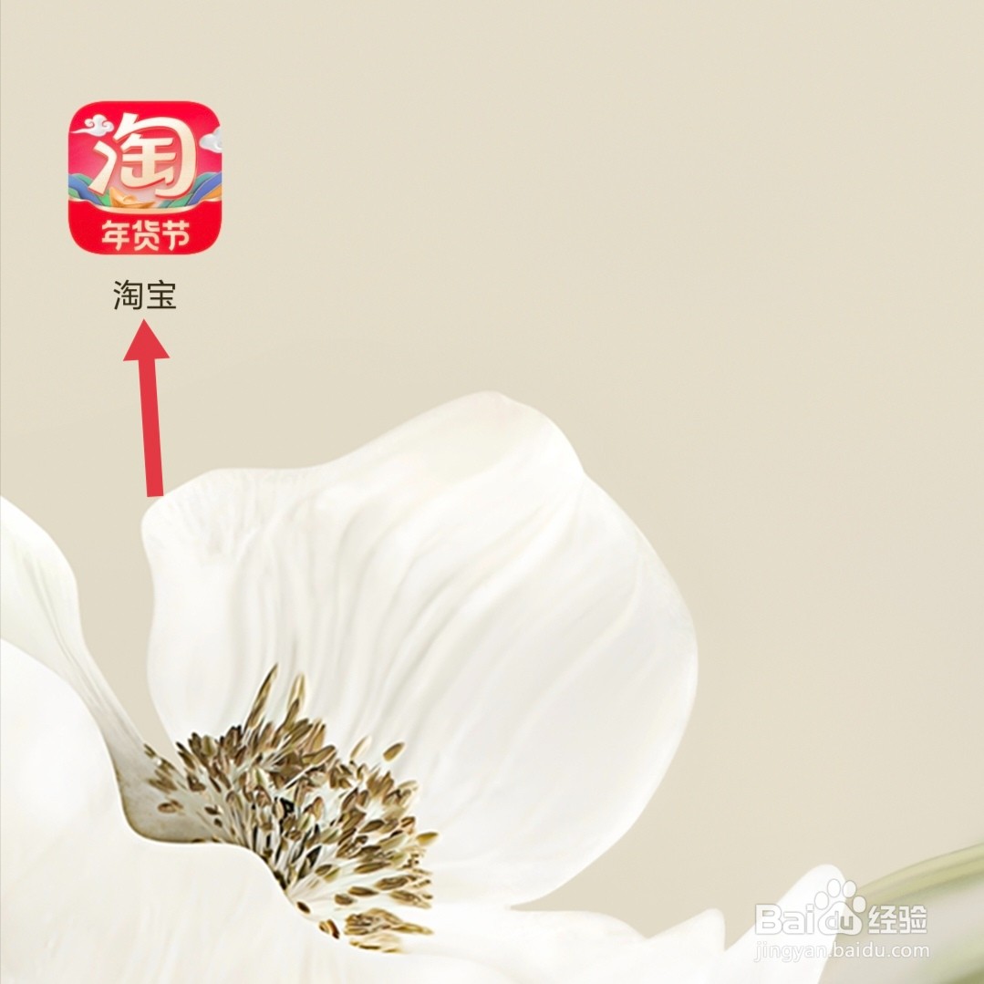 2024淘宝年货节主会场在哪里?怎么进入主会场?