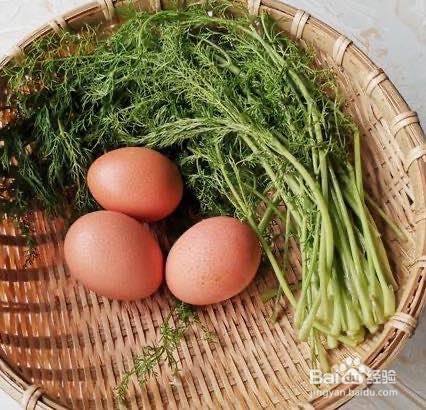 茴香菜怎么吃 百度经验