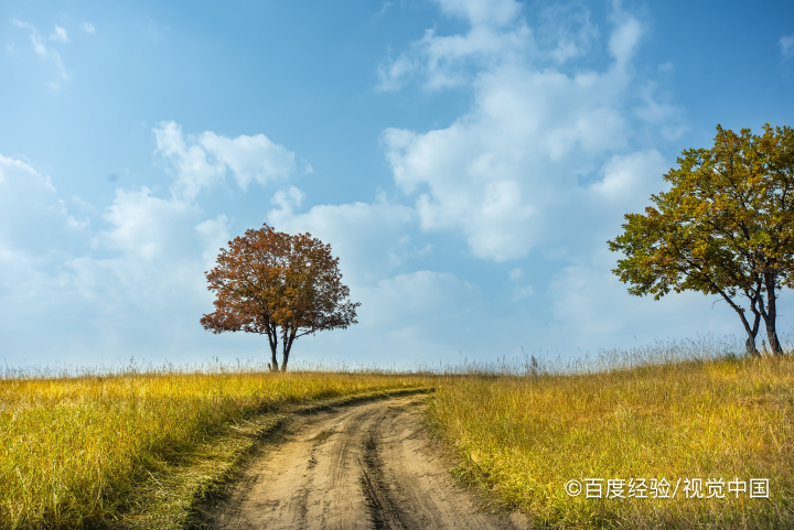 我们要如何去向远方？