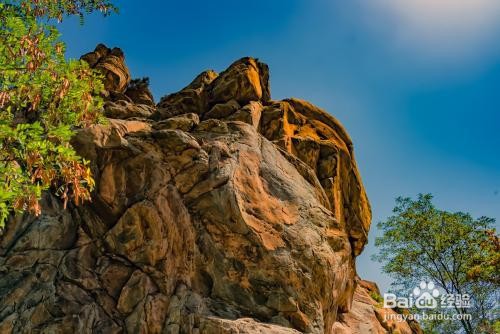 宁夏有哪些好玩的地方