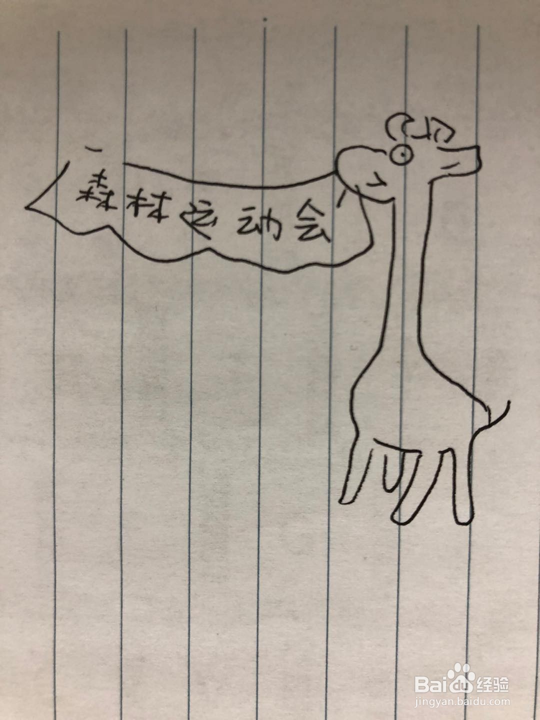 森林运动会简笔画