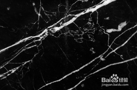 蜘蛛丝能用来做衣服吗