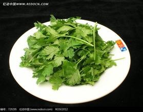 如何做萝卜排骨汤