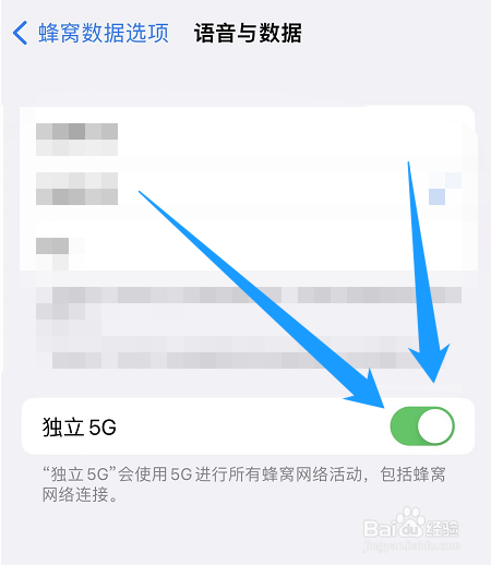 苹果手机怎么启用独立5g