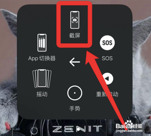 苹果手机截屏怎么截?