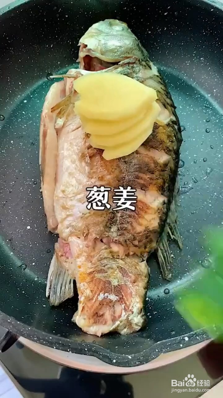 如何制作鲫鱼奶白汤