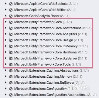 图解在MacOS 上安装 Entity Framework Core