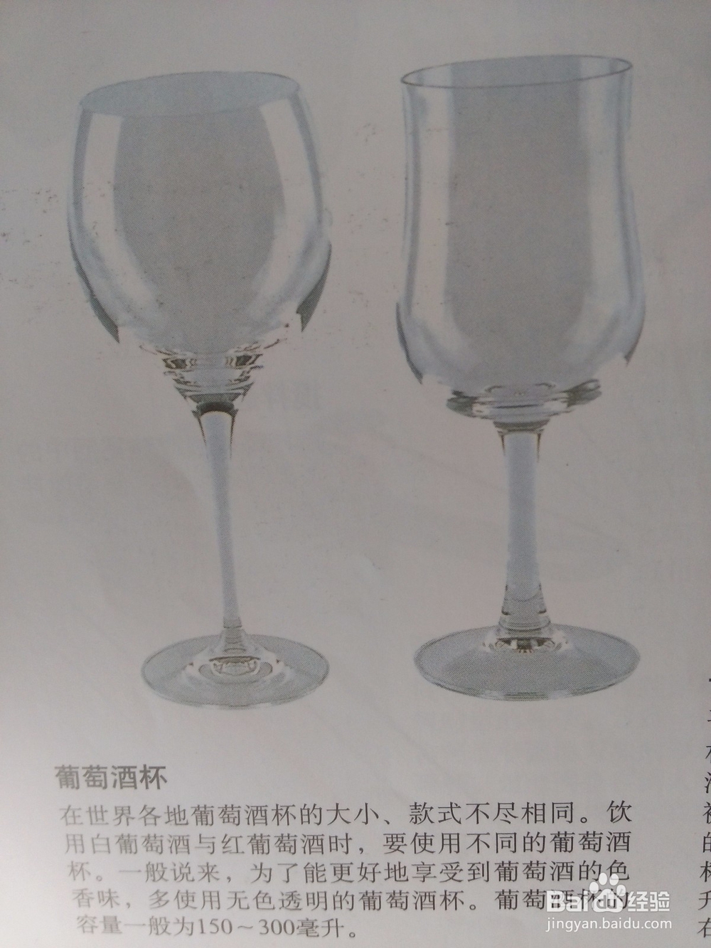 酒杯的分类——调酒师带你入门