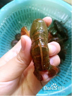 怎么做好吃的潜江油焖大虾