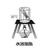 观察DNA和RNA在细胞中的分布