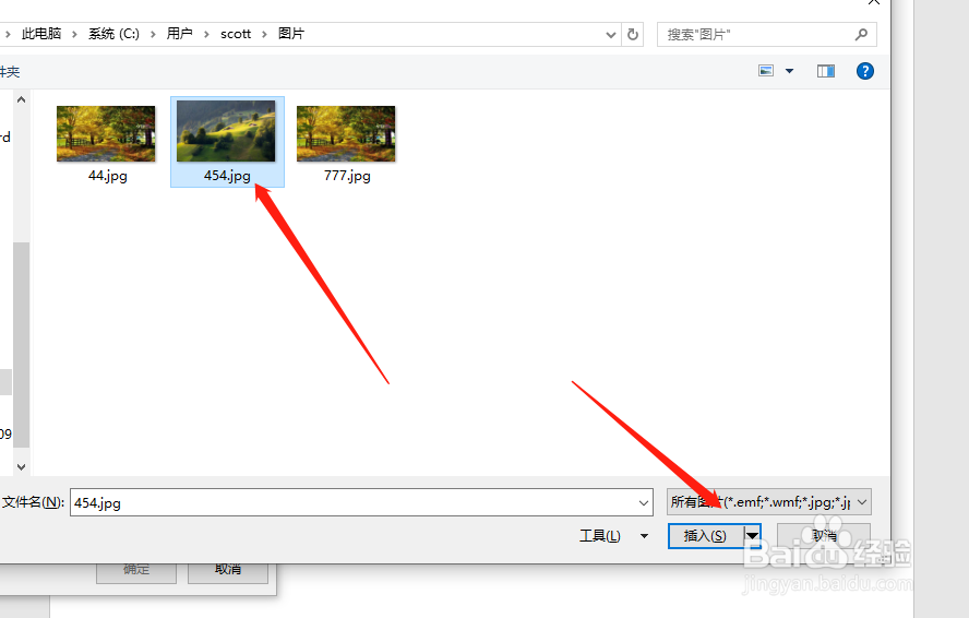 在文件夹中选择图片点击插入,再一次点击确定