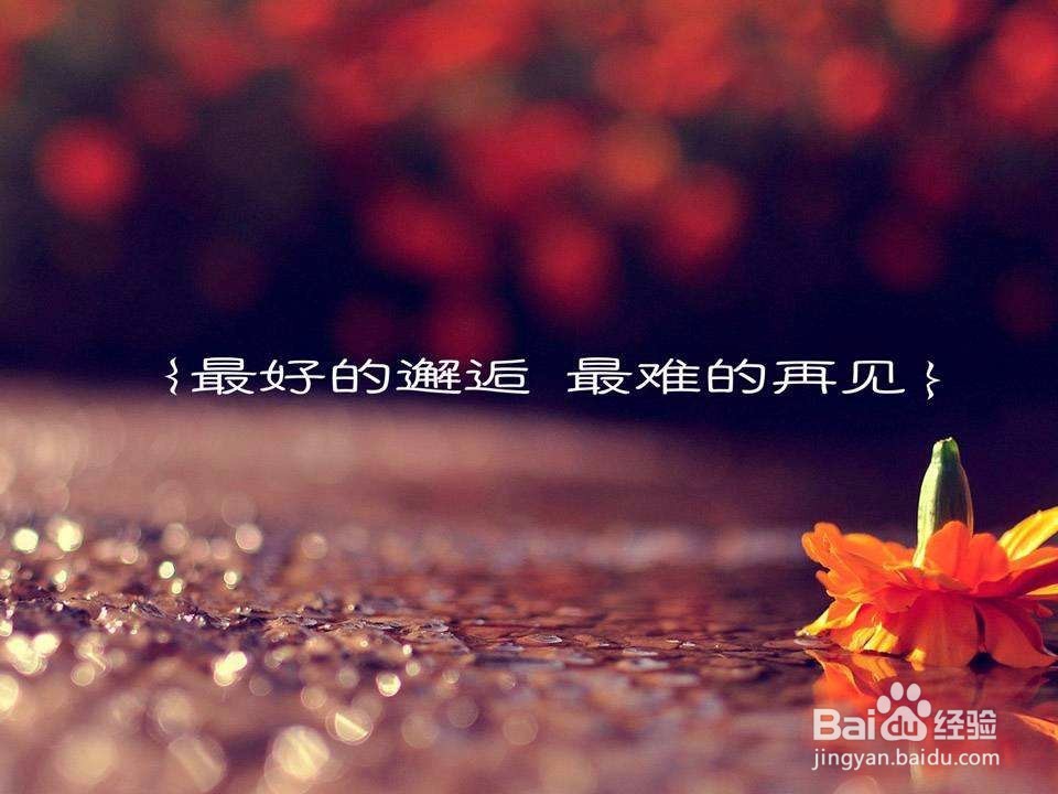 见人说人话，见过说鬼话的星座排行榜！
