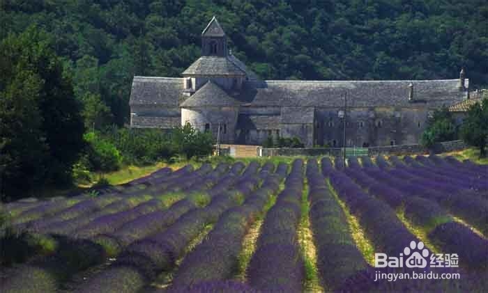 普罗旺斯紫色浪漫之行国际机票攻略