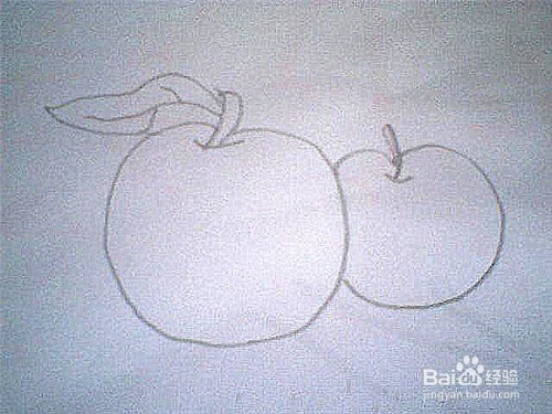 <b>简笔画两个苹果可以这样画</b>