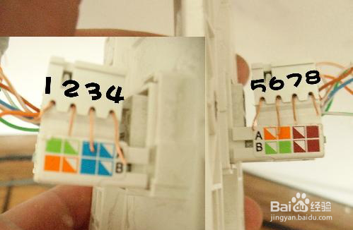 家庭网线插座接法图解