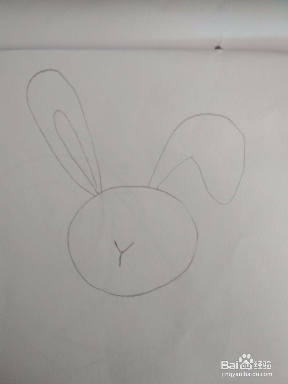 多妈简笔画动物一只可爱的小白兔