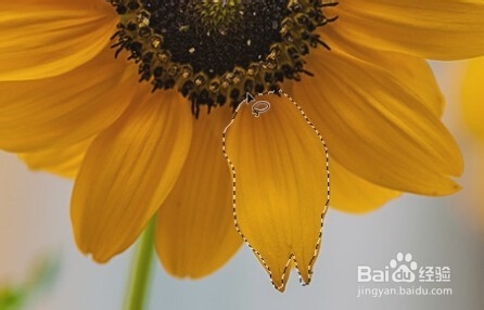 photoshop入门教程（23）