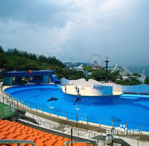 香港香港海洋公园旅游全攻略