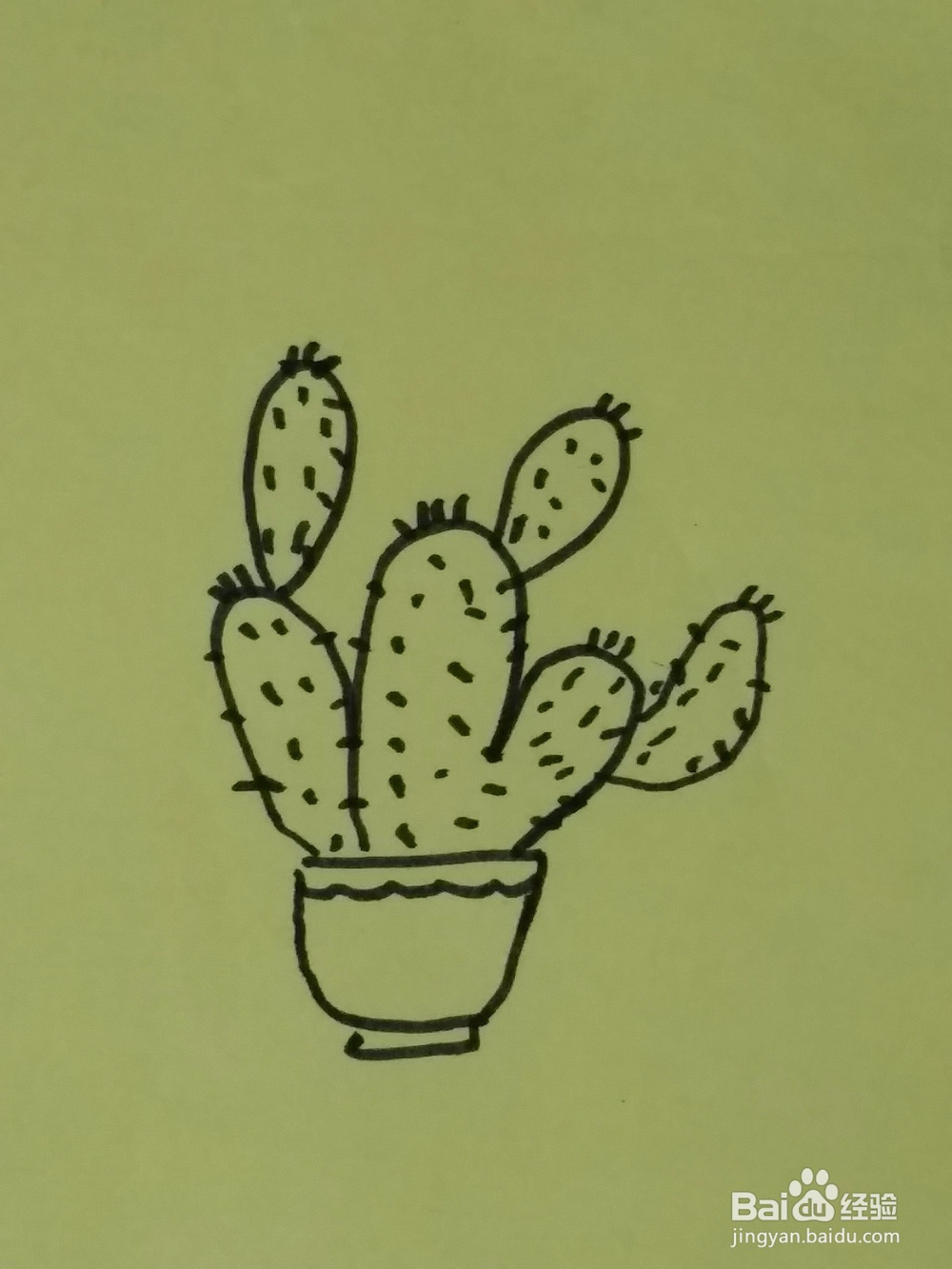 儿童简笔画一盆仙人掌