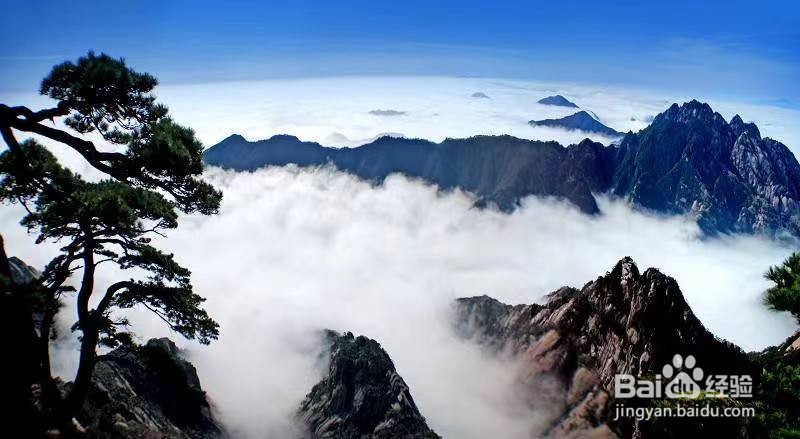 黄山云海怎么介绍