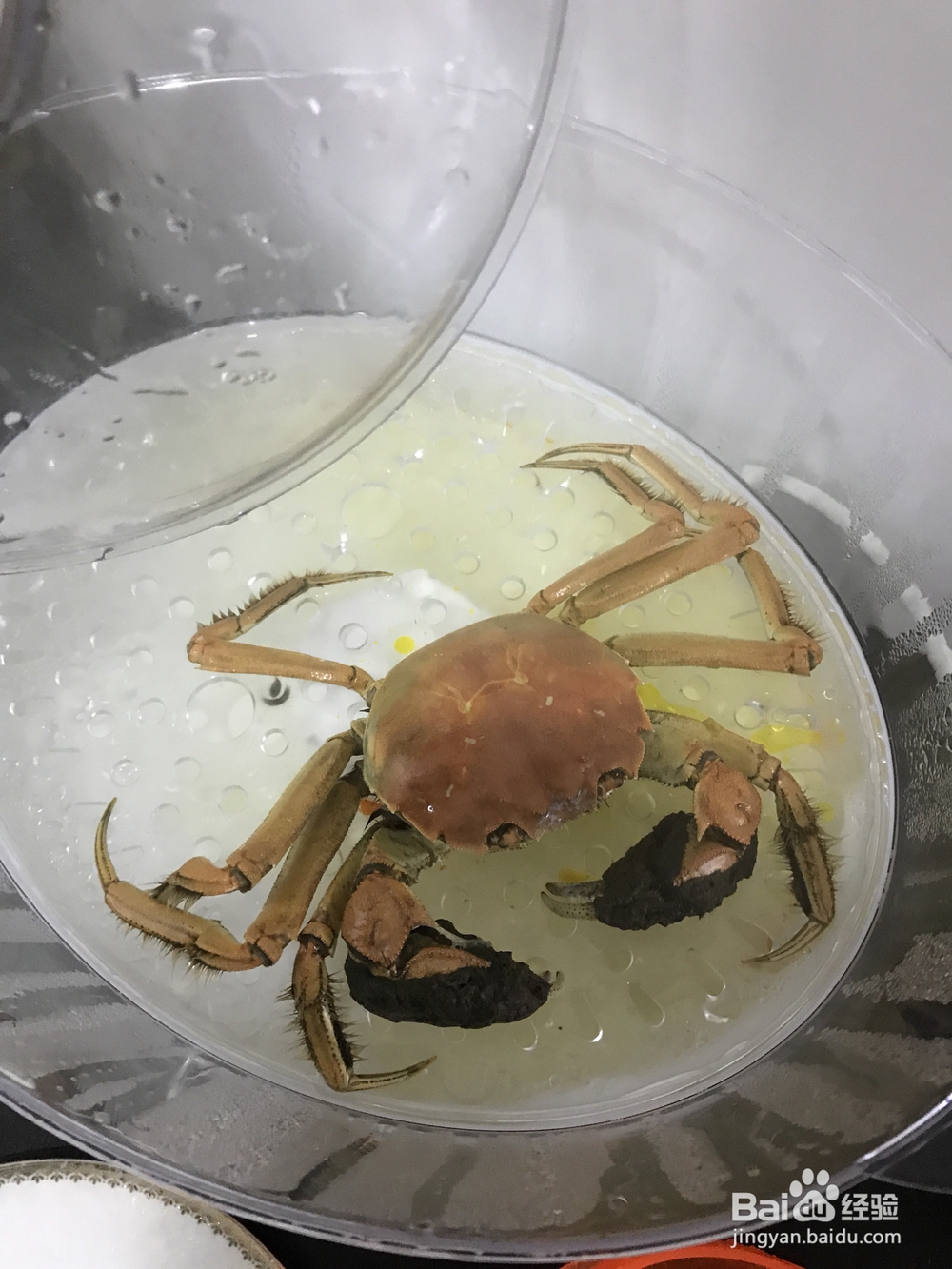 蟹肉蔬菜鸡蛋面线海鲜美食教程