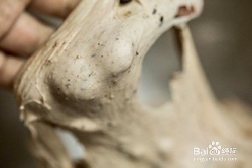 如何制作有馅的黑芝麻华夫饼