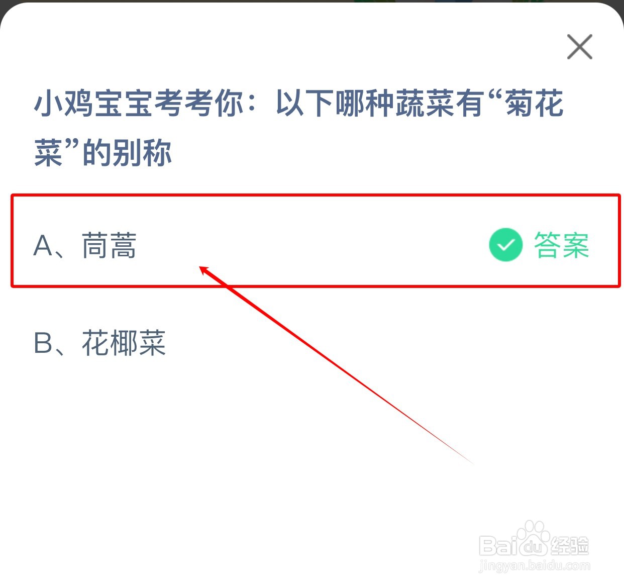 蚂蚁庄园:以下哪种蔬菜有“菊花菜”的别称