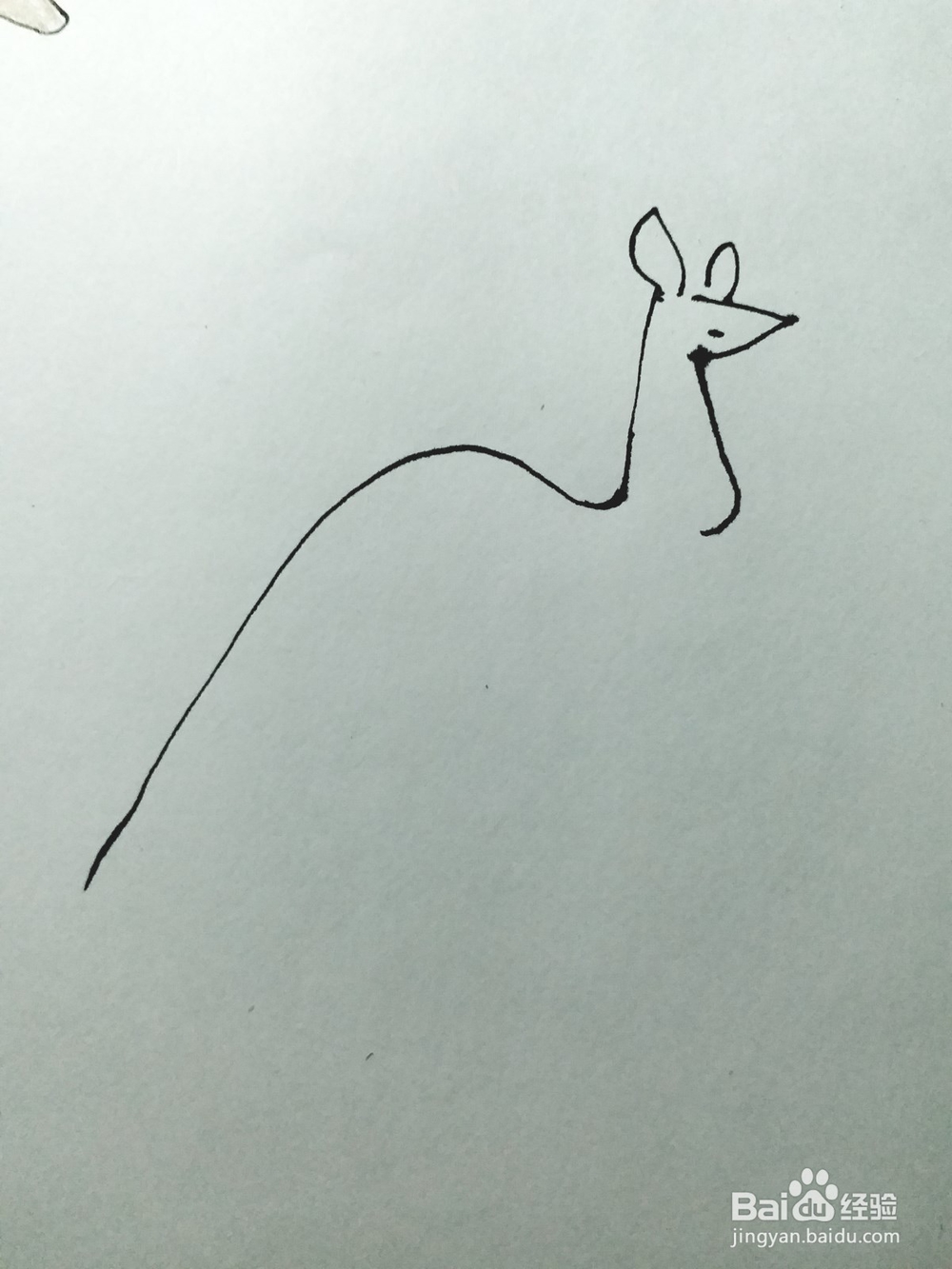 袋鼠的简笔画法（四）
