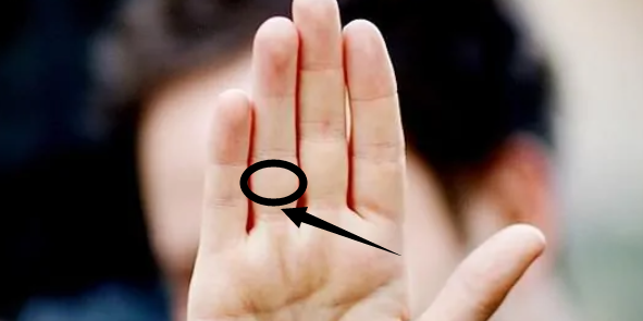 第四根手指叫什么名字